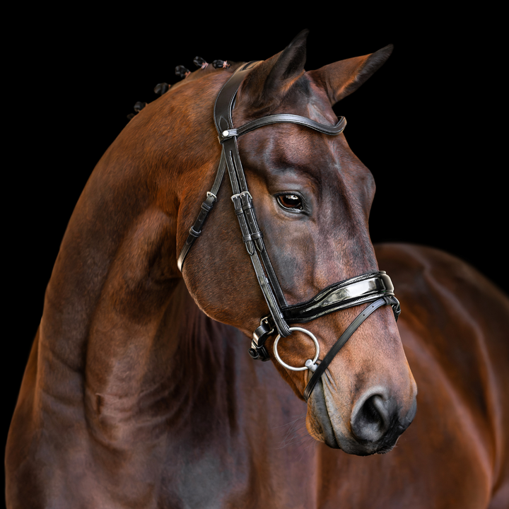 Destiny Bridle Patent