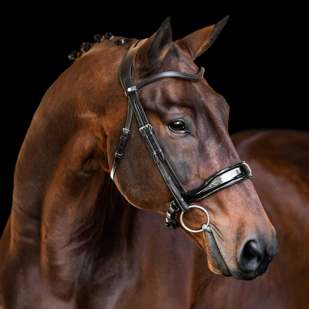 Destiny Bridle Patent