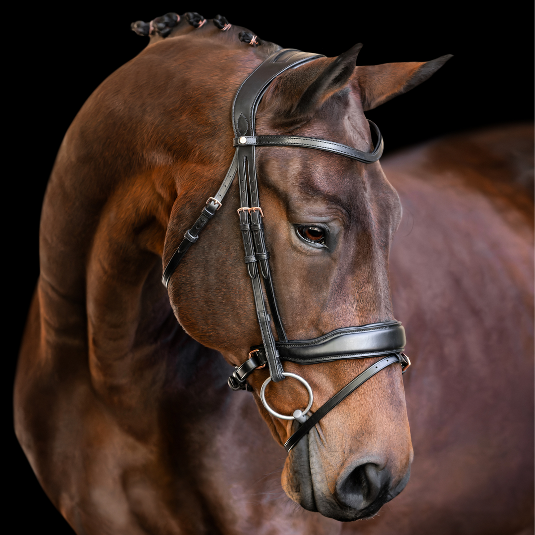 Destiny Bridle with Rosegold Hardware