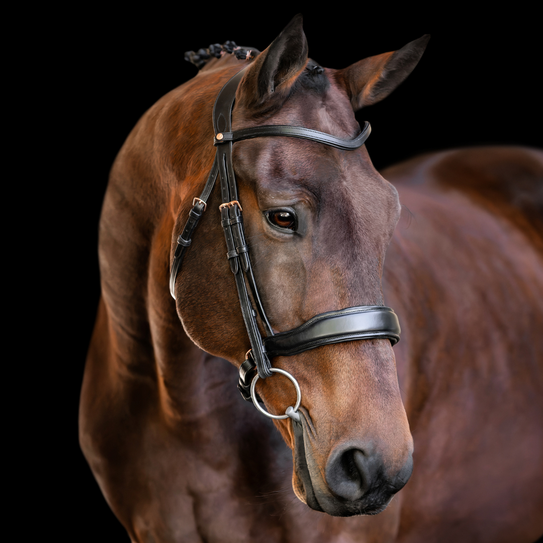 Destiny Bridle with Rosegold Hardware