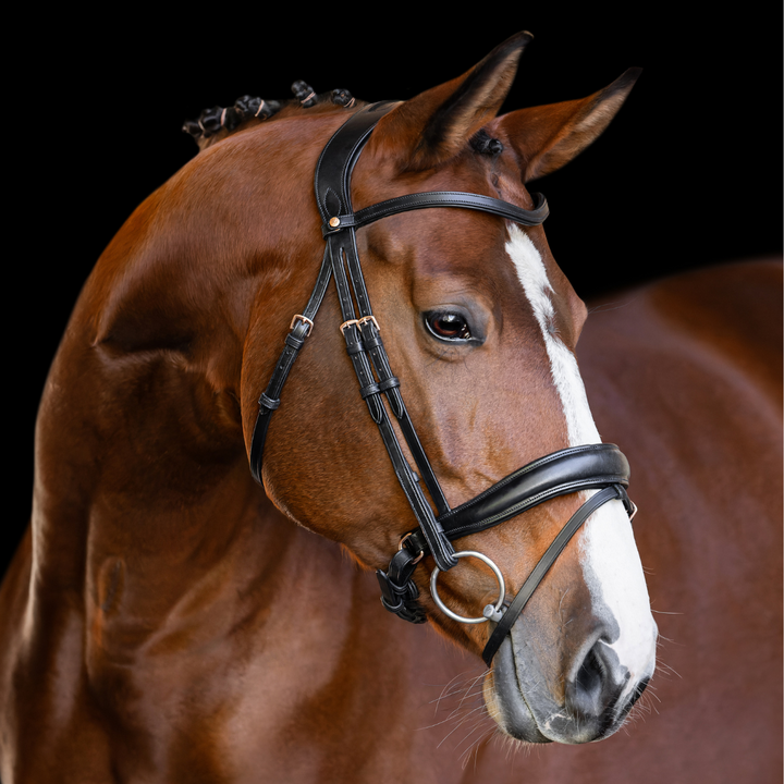Infinity Bridle with Rosegold Hardware