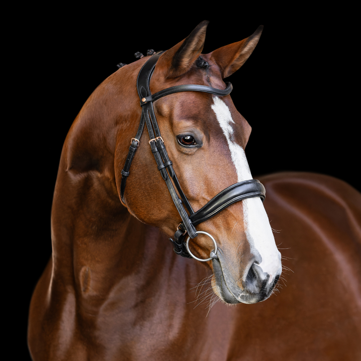 Infinity Bridle with Rosegold Hardware