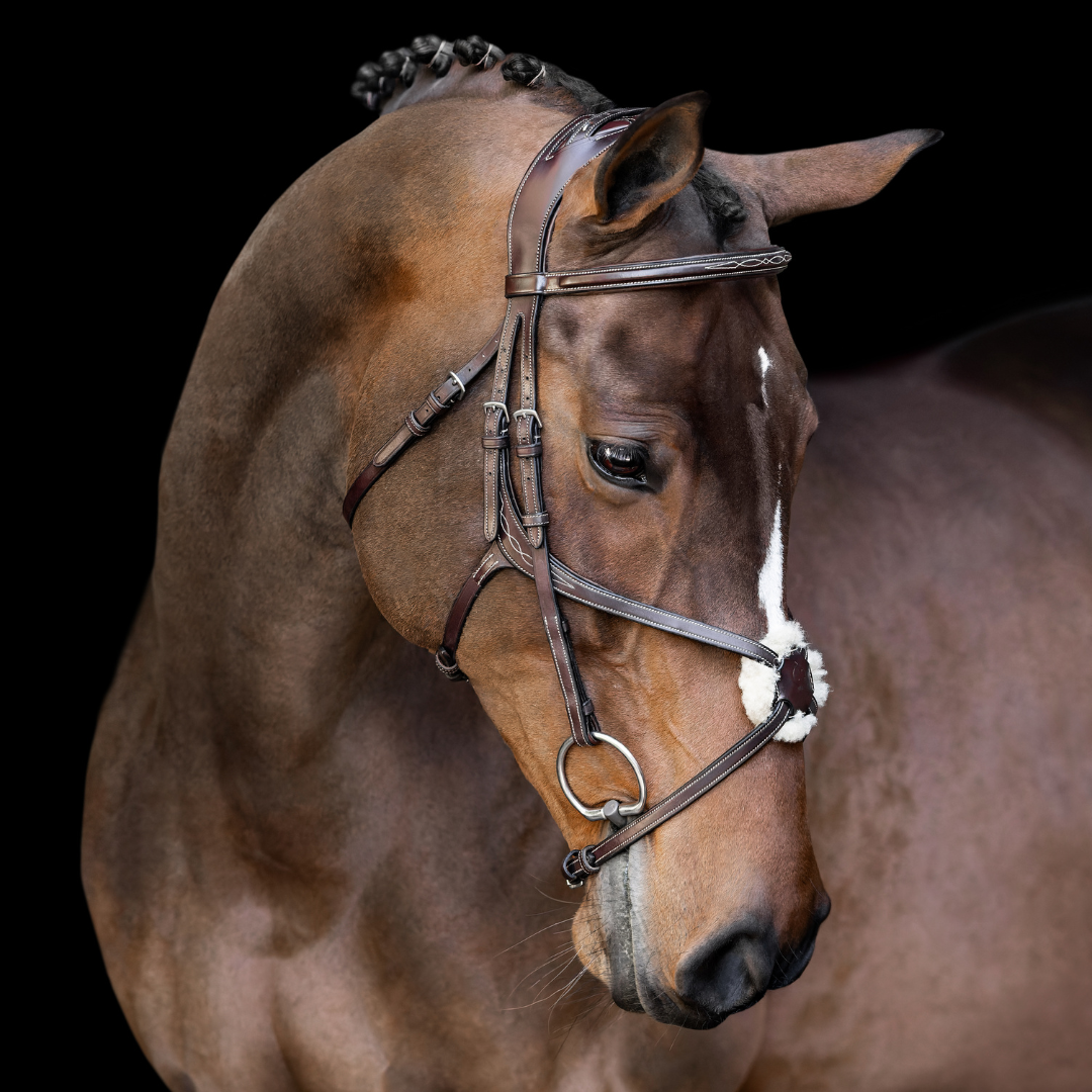 Athena Anatomic Jumping Bridle with Cream Stitching – Artemis Equine