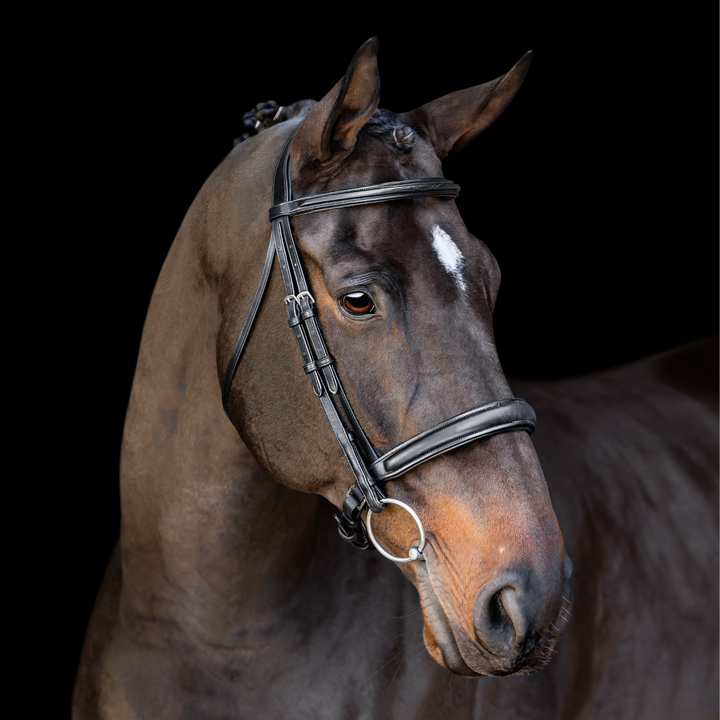 Elegance Traditional Bridle with Cream