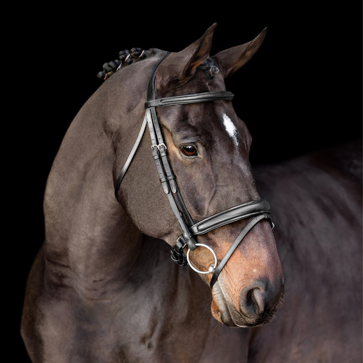 Elegance Traditional Bridle with Cream