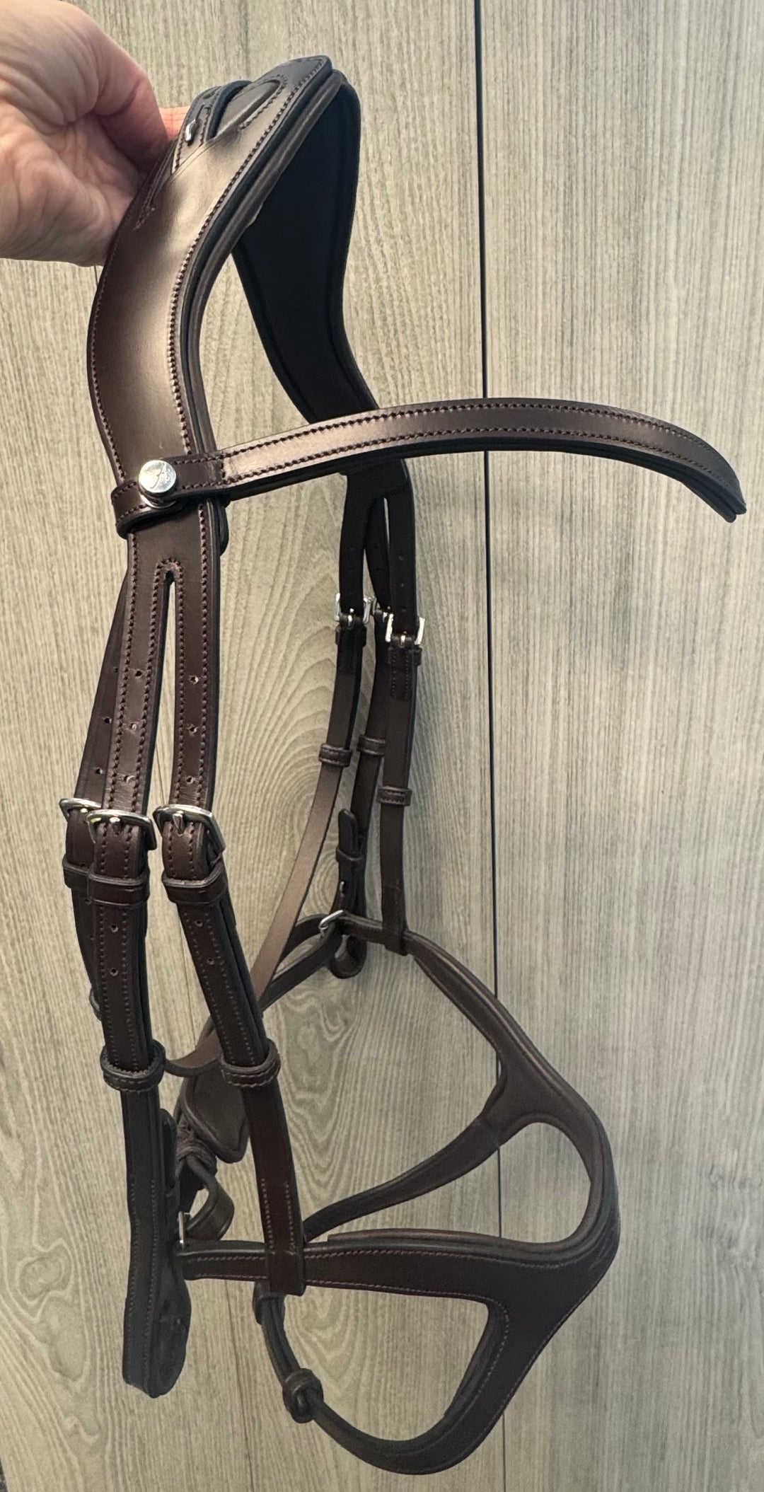 SALE Victory Bridle Brown - FULL (A3)