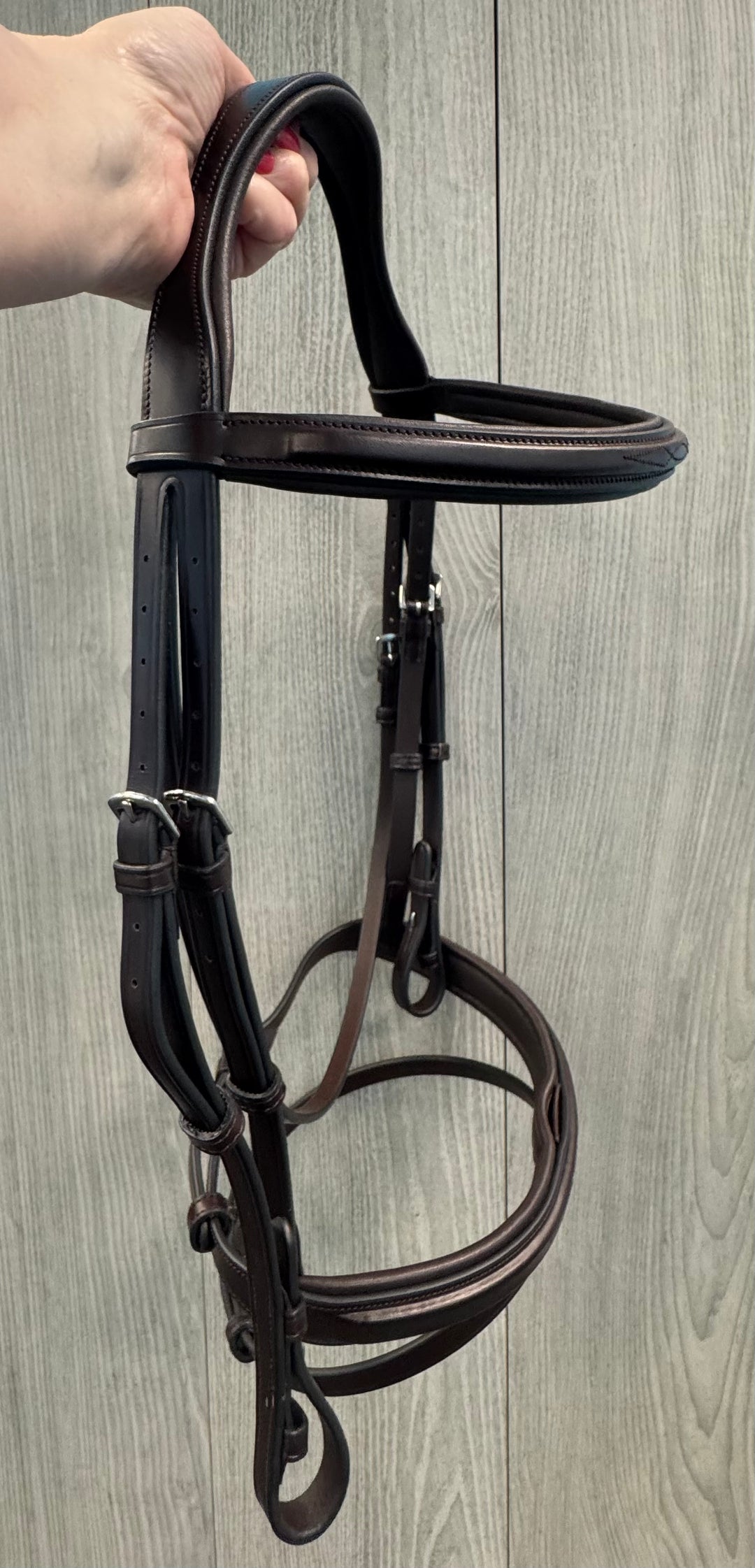 SALE Encore Bridle with Detachable Flash - COB (A9)