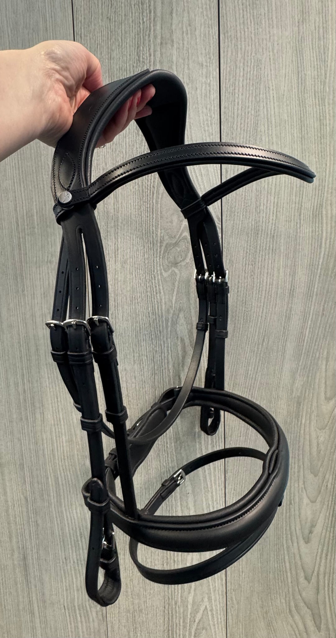 SALE Olympus Bridle Black - Cob (A86)