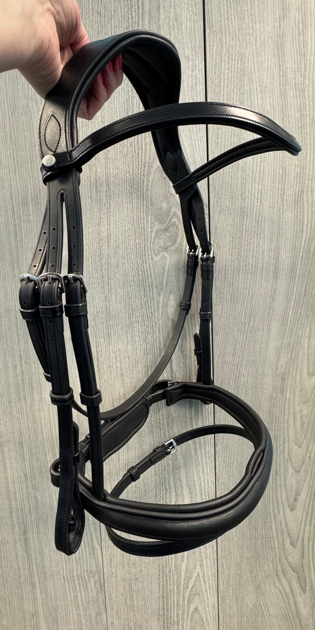 SALE Olympus Bridle Black - Full (A88)