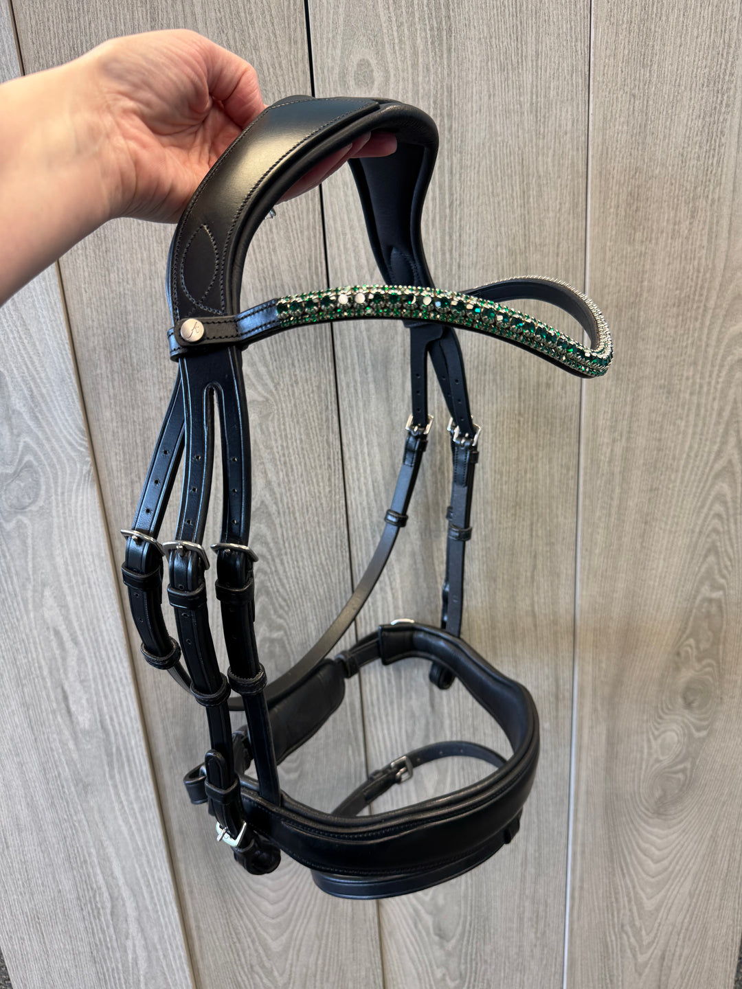 SALE Artemis Dressage Bridle Cob (P15)