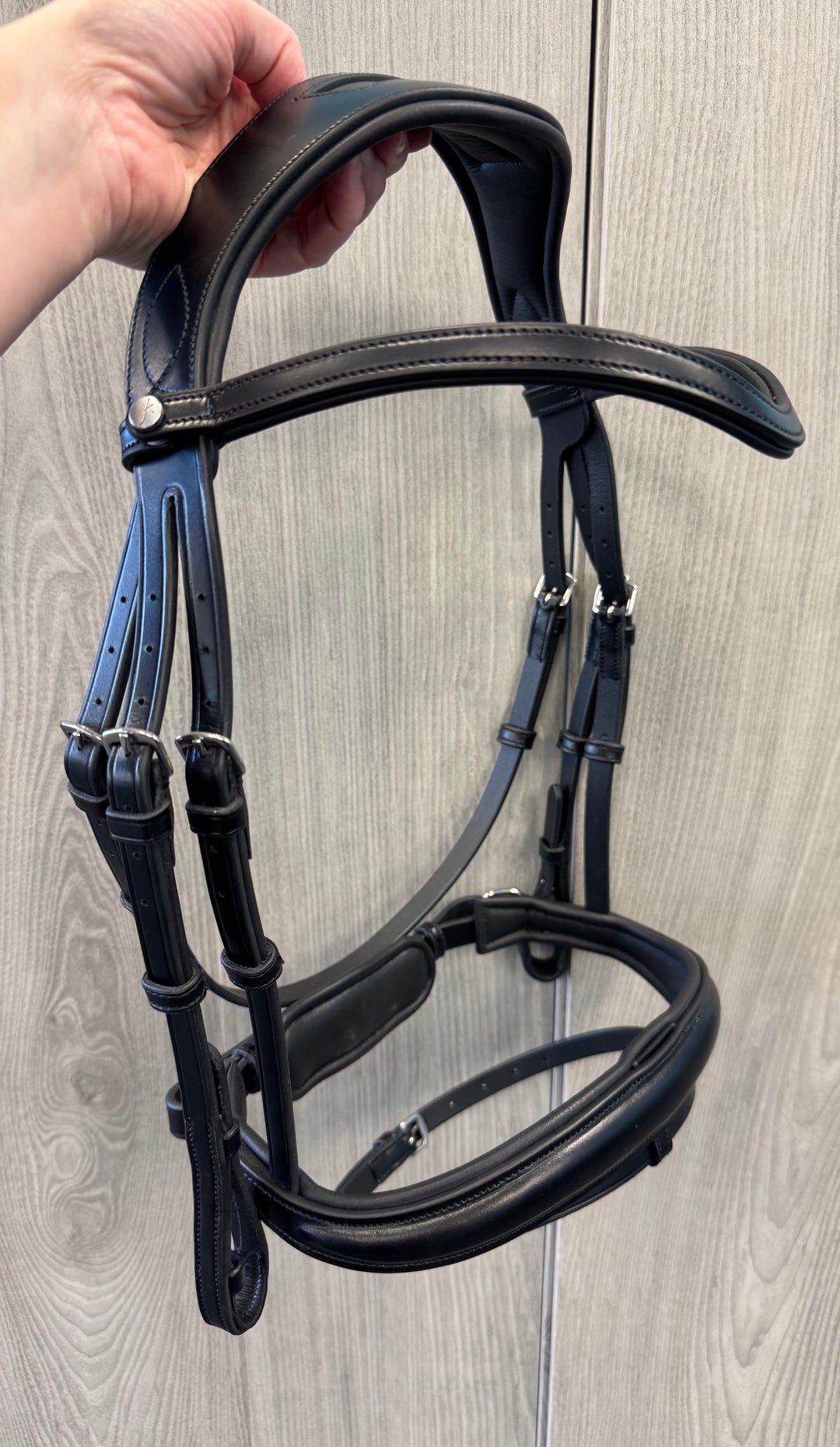 SALE Infinity Dressage Bridle Cob (G2)