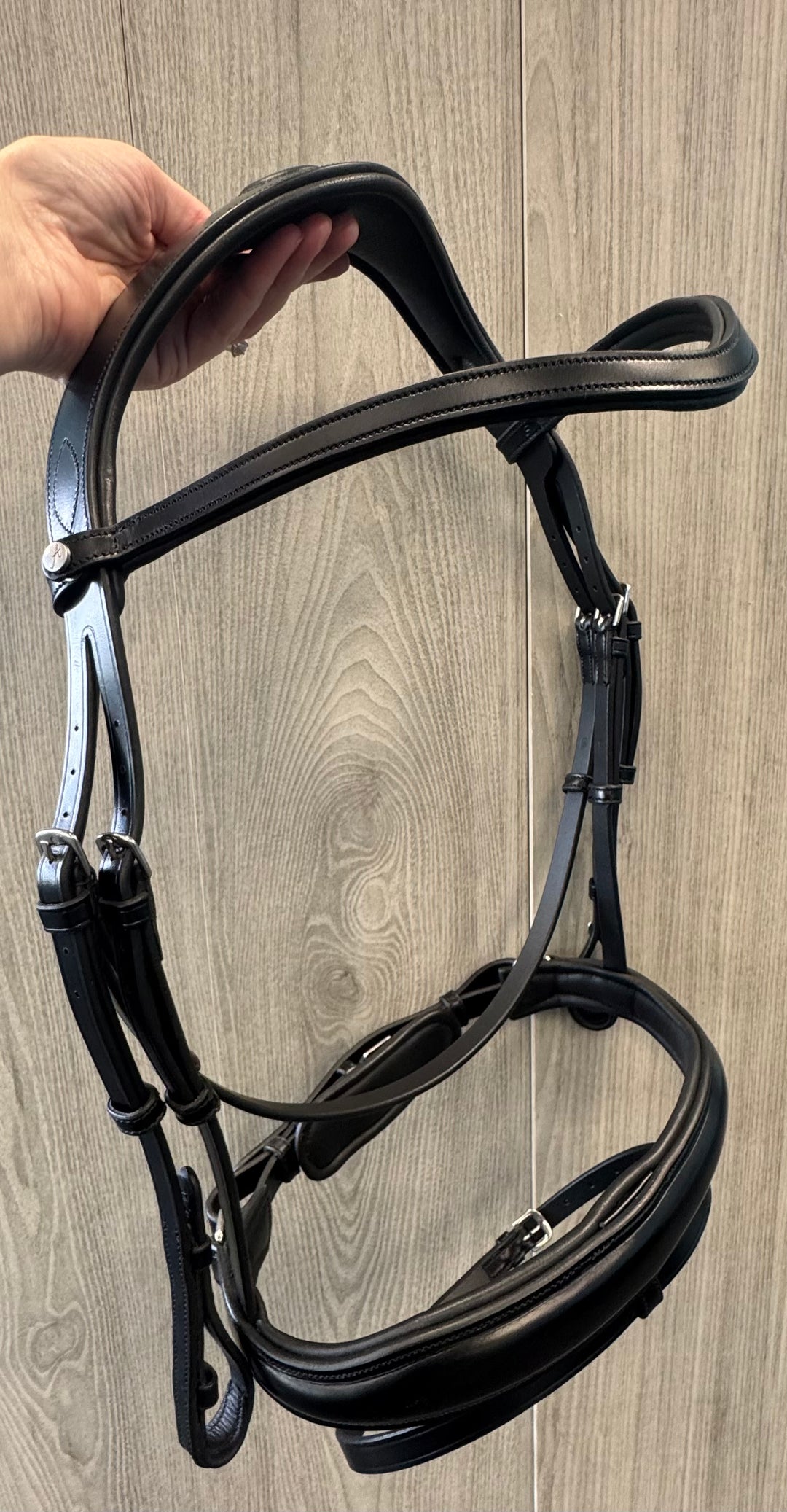 SALE Destiny Bridle Black - FULL (A3)