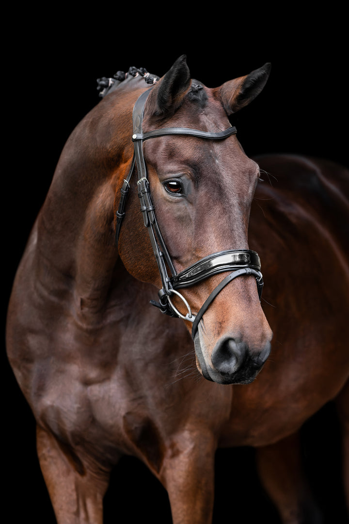 SALE Infinity Bridle Patent Brown Full (A34)