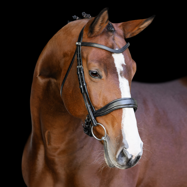 Infinity Traditional Bridle