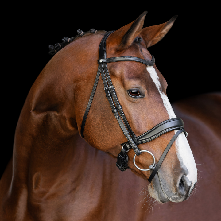 Infinity Traditional Bridle