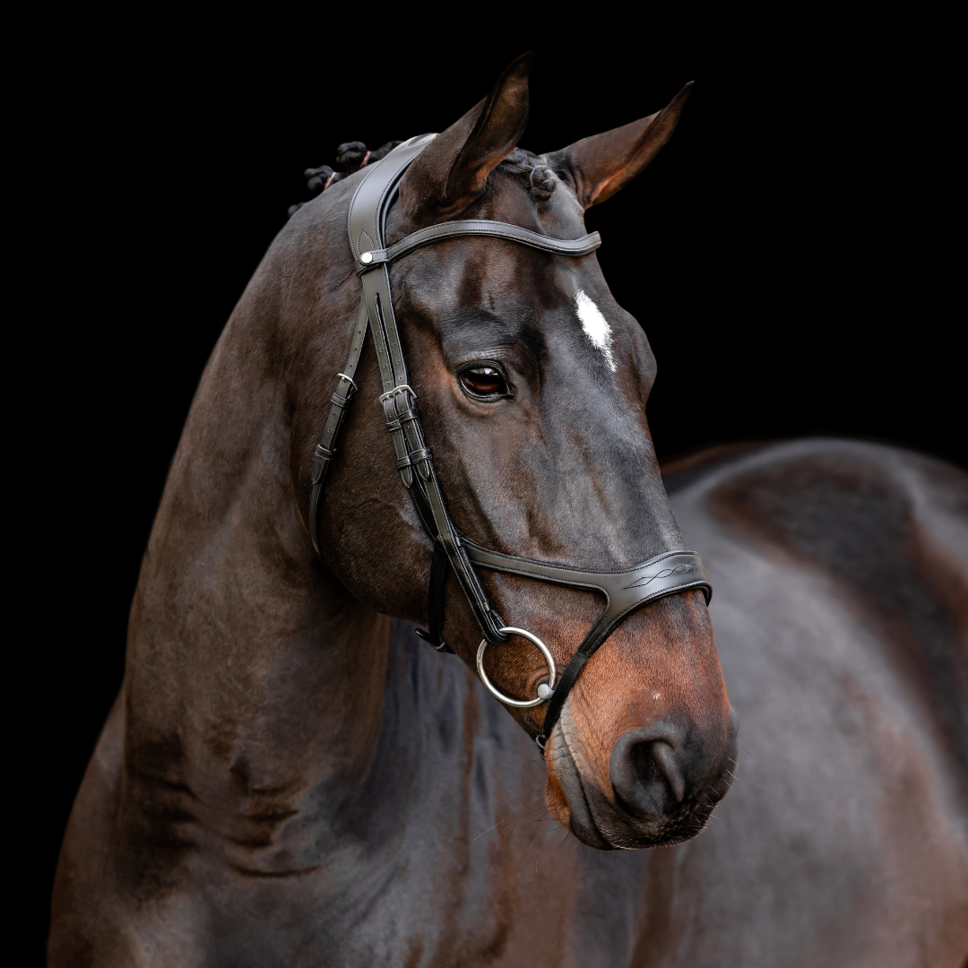 Precision Dressage Bridle