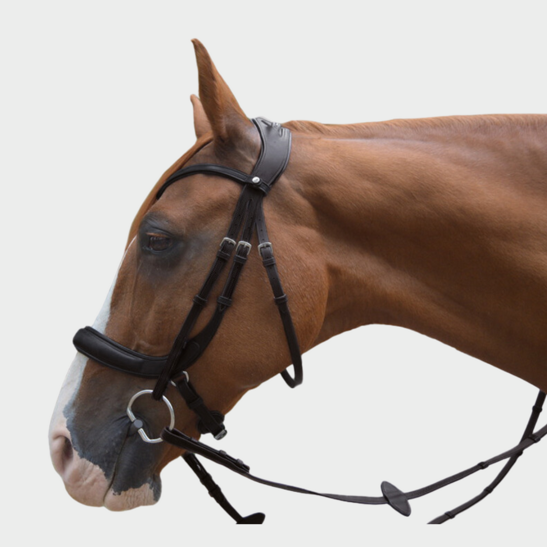 Advance Jumping Bridle with Cream