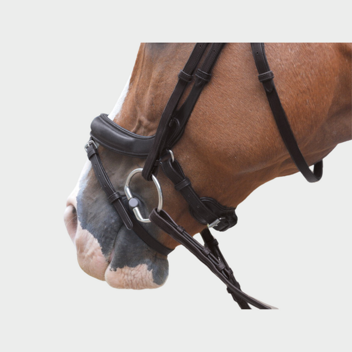 Advance Jumping Bridle with Cream