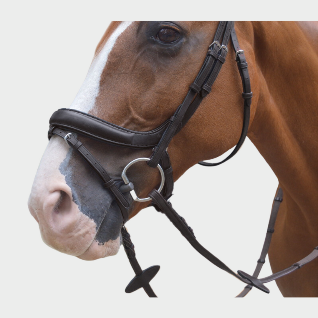 Advance Jumping Bridle with Cream