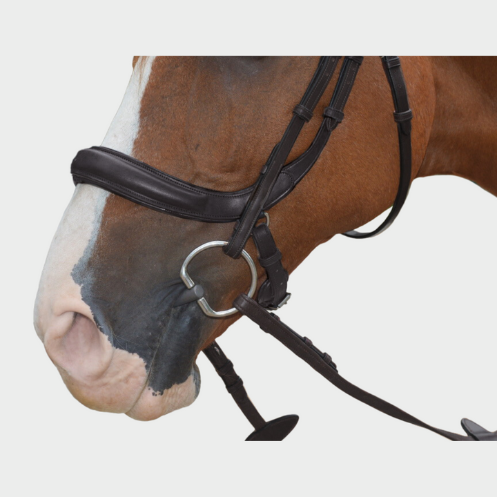 Advance Jumping Bridle with Cream