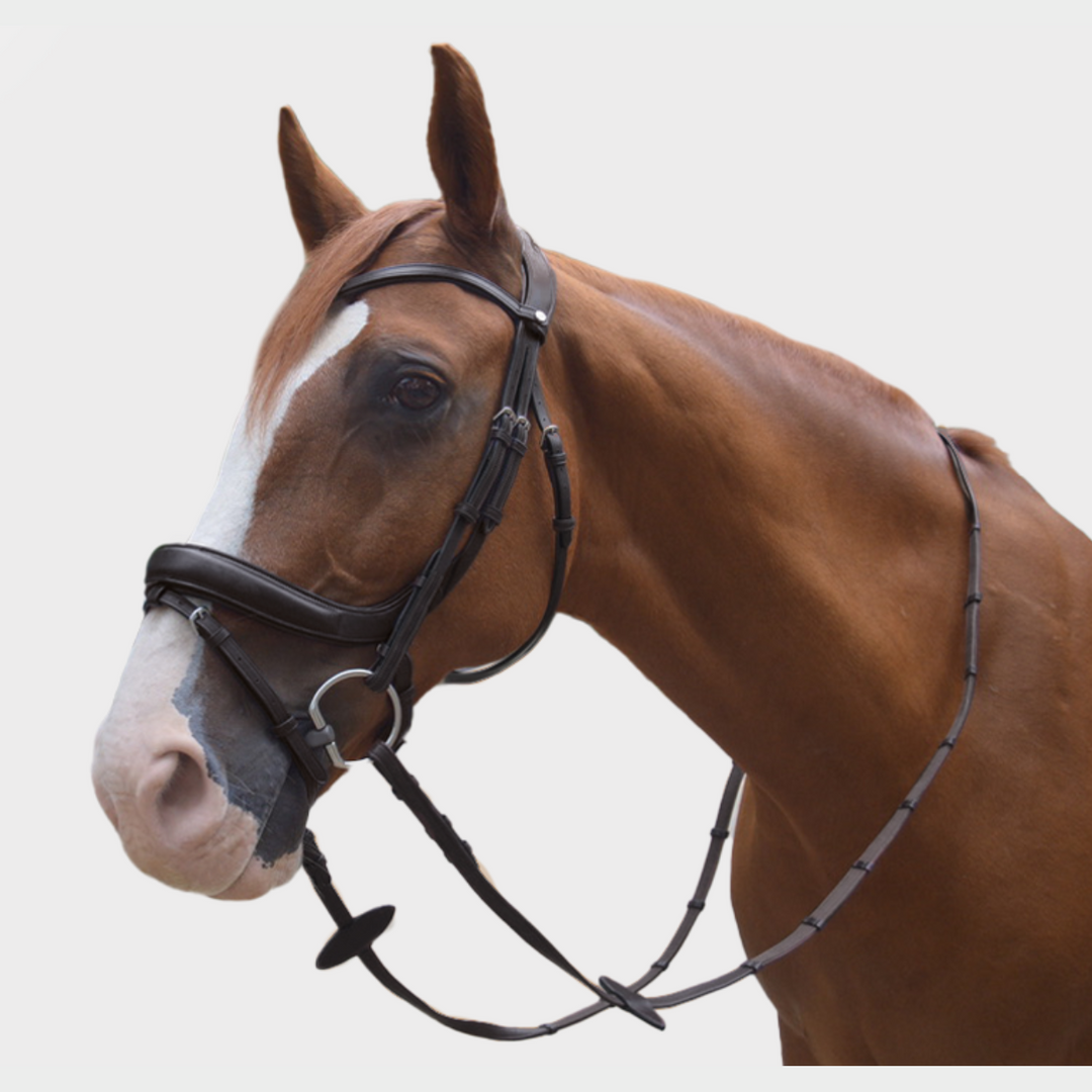 Advance Jumping Bridle with Cream