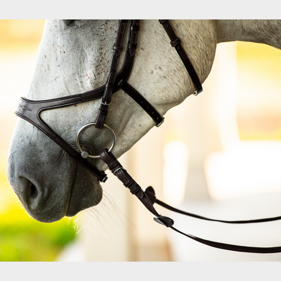 Precision Bridle Jumping