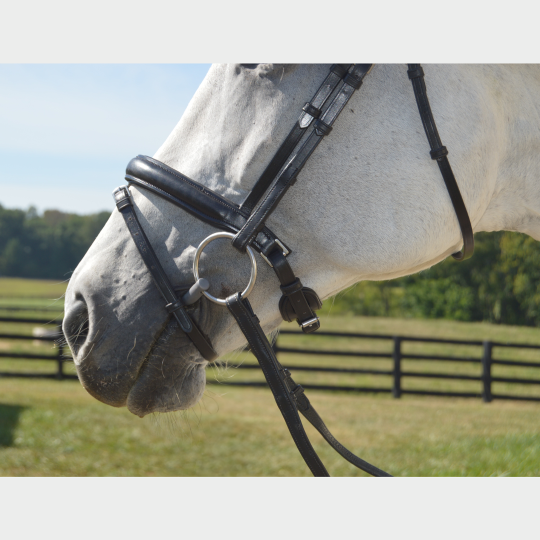 Elegance Traditional Bridle with Cream