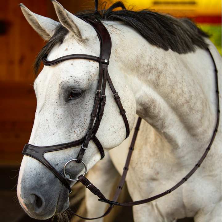 Precision Bridle Jumping