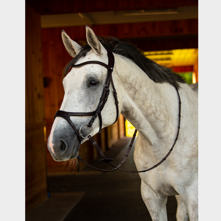 Precision Bridle Jumping