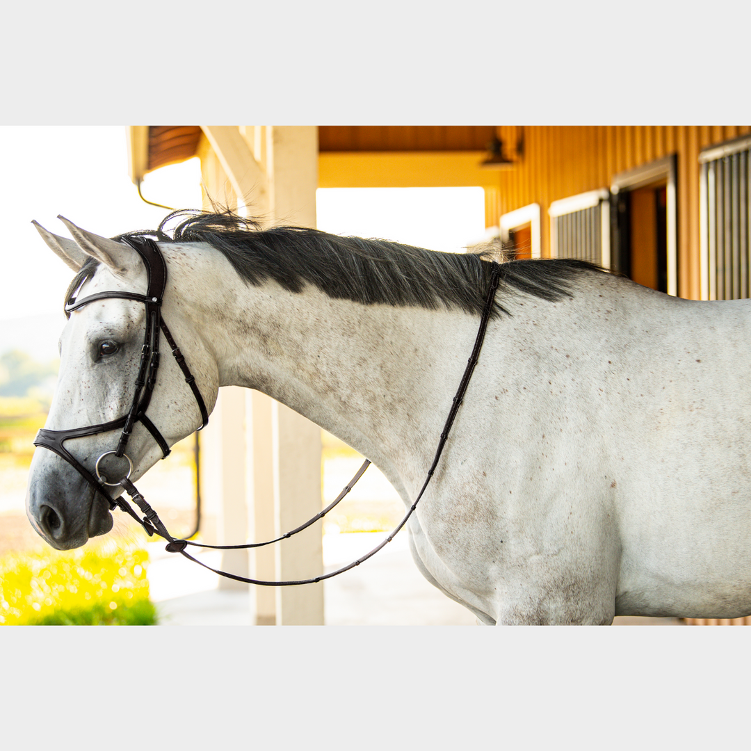 Precision Bridle Jumping