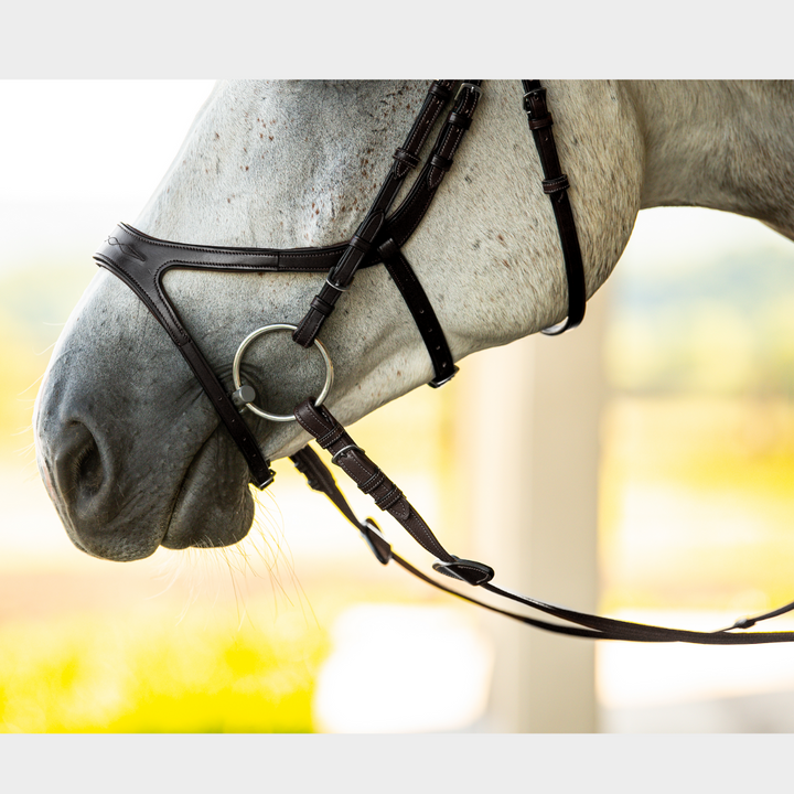 Precision Bridle Jumping