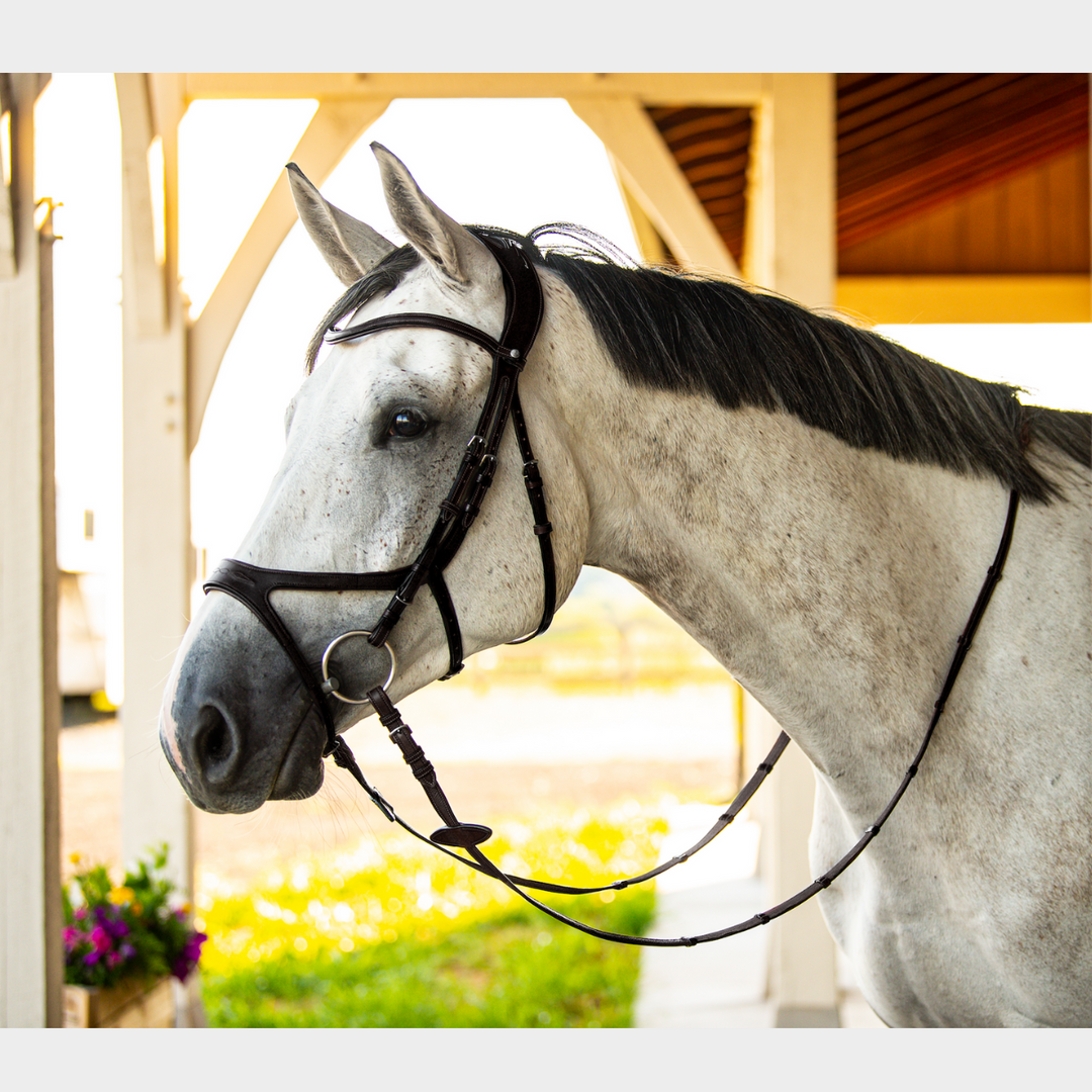 Precision Bridle Jumping