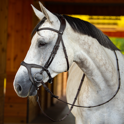 Victory Jumping Bridle