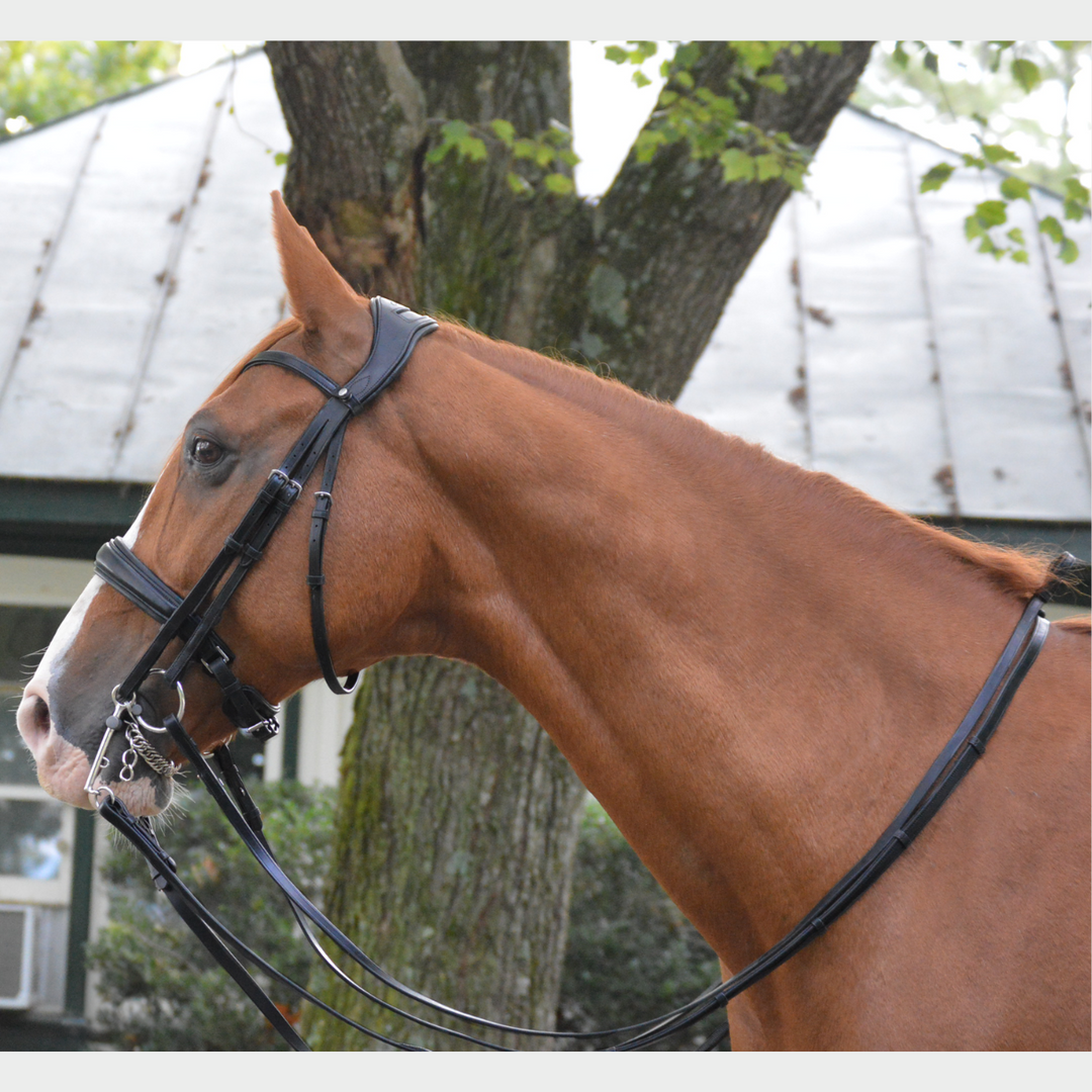 Olympus Double Bridle