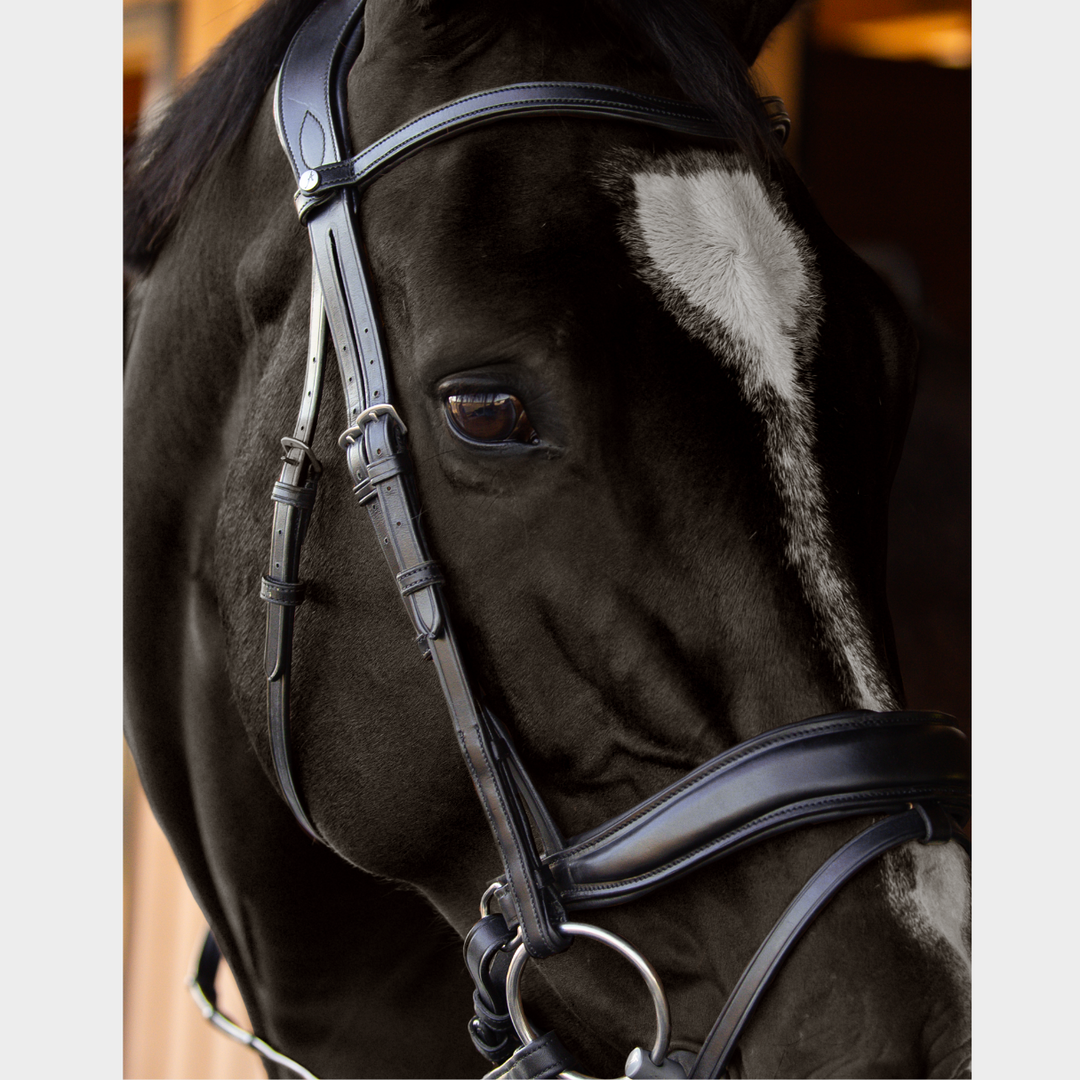 Bride de dressage cuir muserolle française Anja Beran Bride de dressage cuir muserolle française Anja Beran