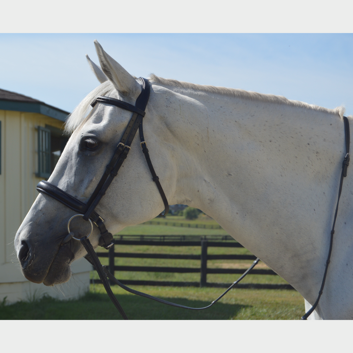 Elegance Traditional Bridle with Cream