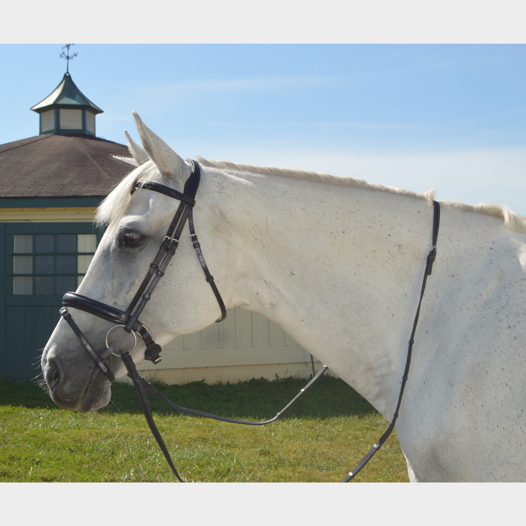 Elegance Traditional Bridle with Cream