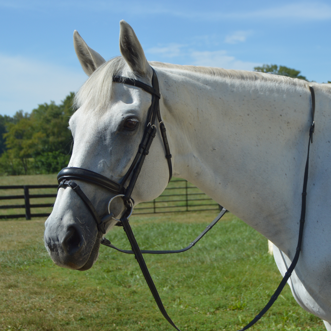 Elegance Traditional Bridle with Cream