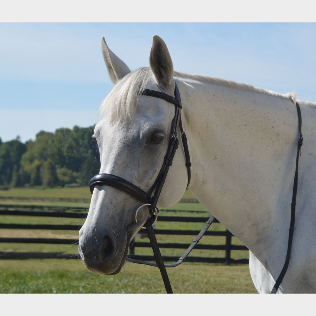 Elegance Traditional Bridle with Cream