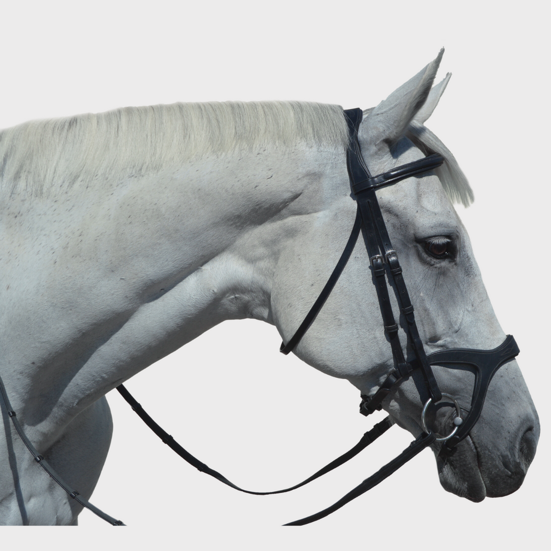 Victory Traditional Bridle