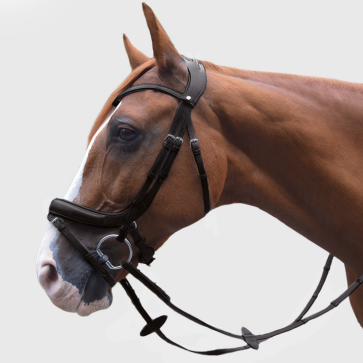 Advance Jumping Bridle with Cream