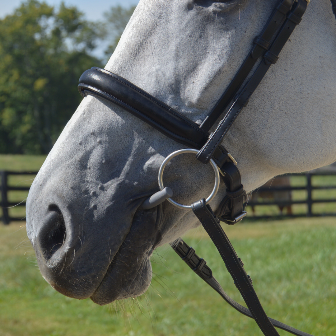 Elegance Traditional Bridle with Cream