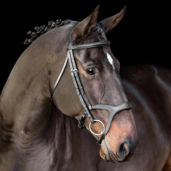 Victory Traditional Bridle